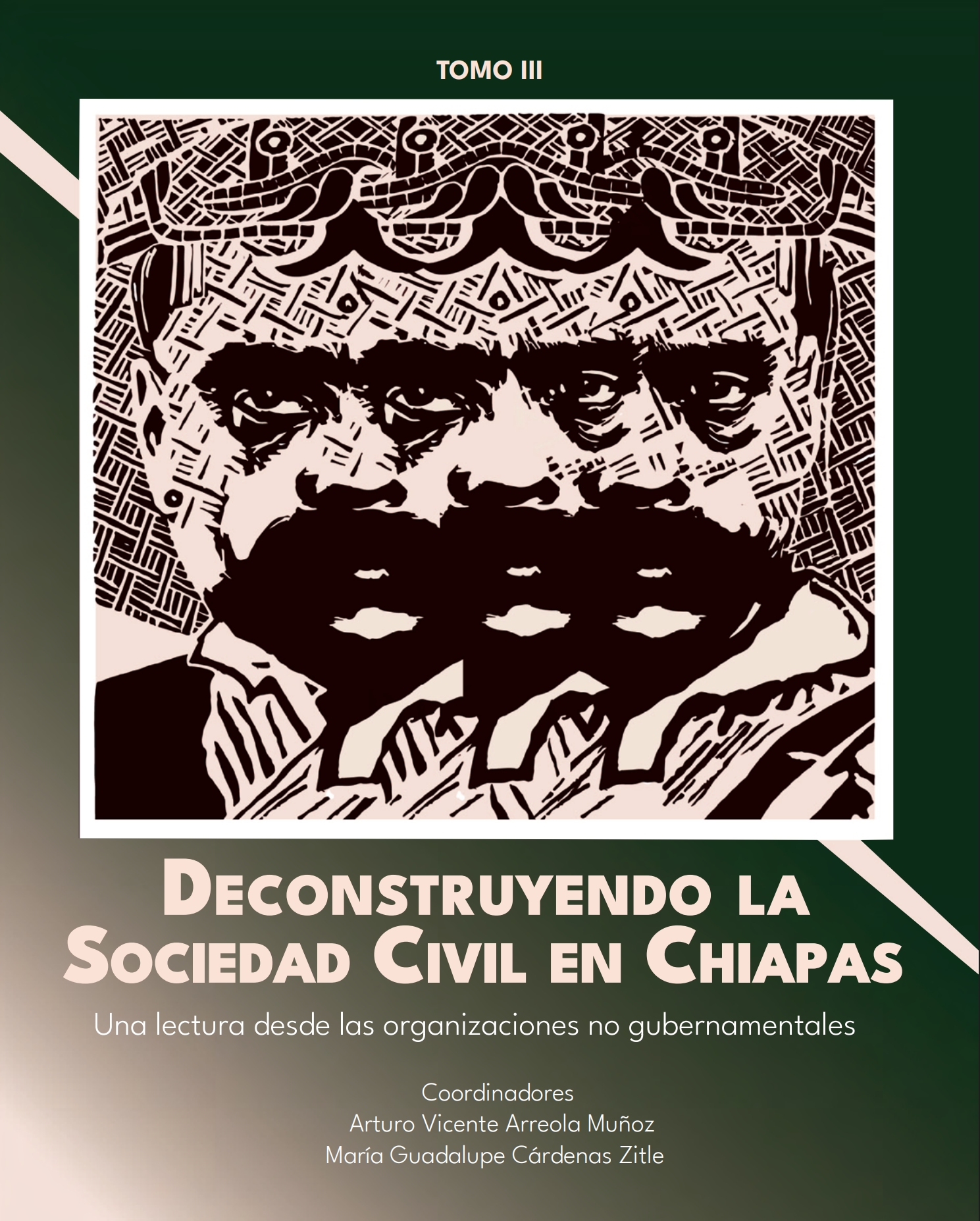 Deconstruyendo la Sociedad Civil en Chiapas, Una lectura desde las organizaciones no gubernamentales Tomo III  Ambiente, Autonomía y Derechos