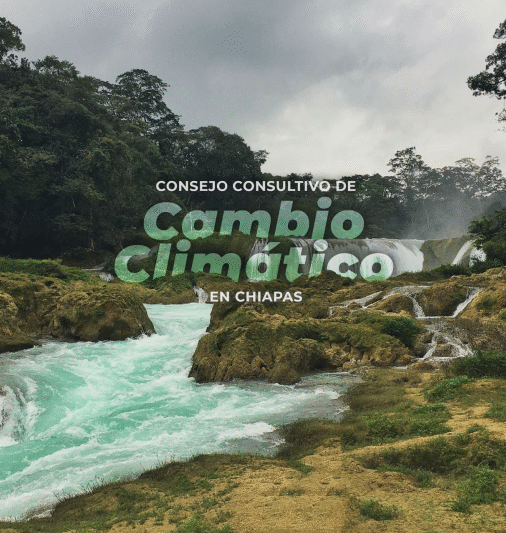 Consejo Consultivo de Cambio Climático en Chiapas: Informe 2018-2019